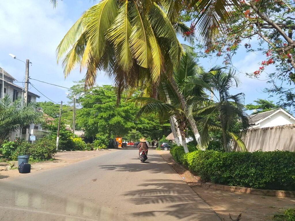 Vue d’une élégante avenue à Grand-Bassam, bordée d’arbres tropicau. La rue est calme, baignée par une lumière douce, et invite à la promenade.