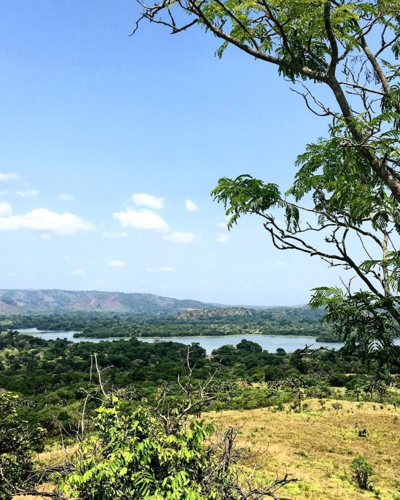 Yamoussoukro-voyage-au-cœur-d’une-ville-unique-reserve-faune-aboukamekro Yamoussoukro-voyage-au-cœur-d’une-ville-unique-reserve-faune-aboukamekro