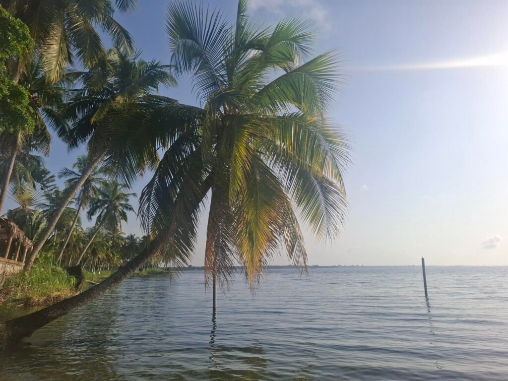 Paysage naturel en Côte d’Ivoire, montrant une lagune entourée de végétation luxuriante, habitat propice à la prolifération des moustiques.