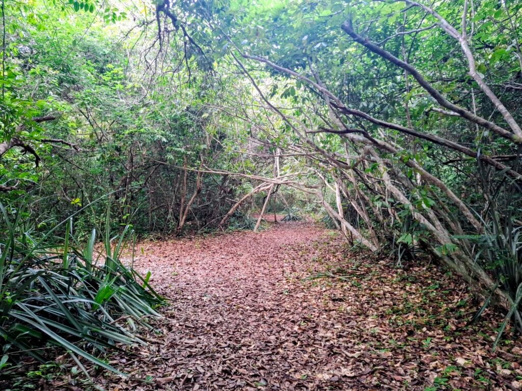 [:fr]Assinie-Côte d’Ivoire-Plages-de-rêve-et-activités-clés-parc-national-iles-ehotiles-nature[:]