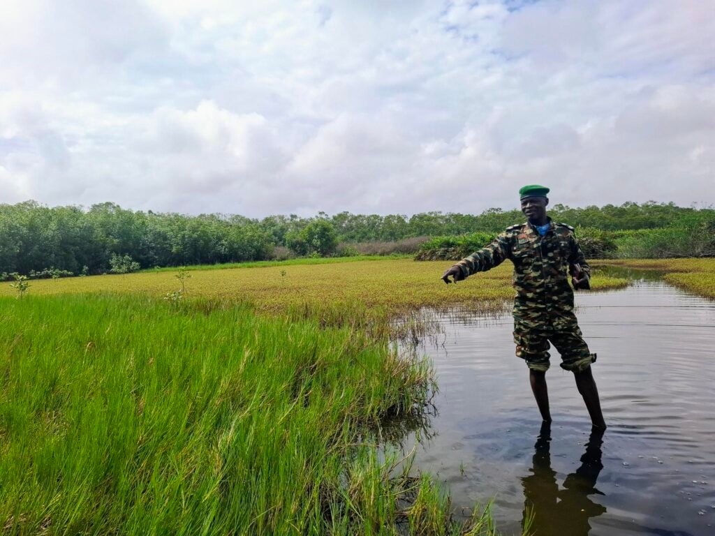[:fr]Assinie-Côte d’Ivoire-Plages-de-rêve-et-activités-clés-parc-national-iles-ehotiles-nature[:]