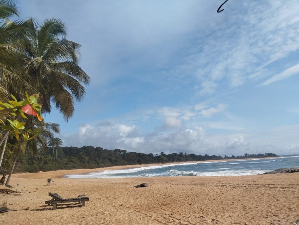 Grand-Béréby-Nature-sauvage-et-plages-tabaoule-lodge