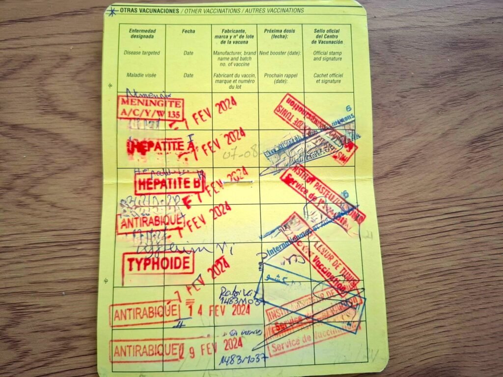 Carnet de vaccination couvert de graffitis artistiques et colorés, avec une légende humoristique sur la vaccination.