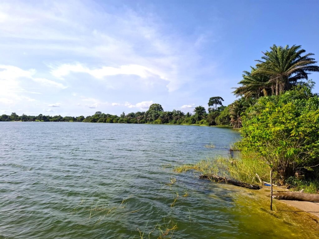Panorama du lac Békré, capturé depuis l’Île Boulay, mettant en valeur les eaux calmes et la végétation luxuriante environnante.