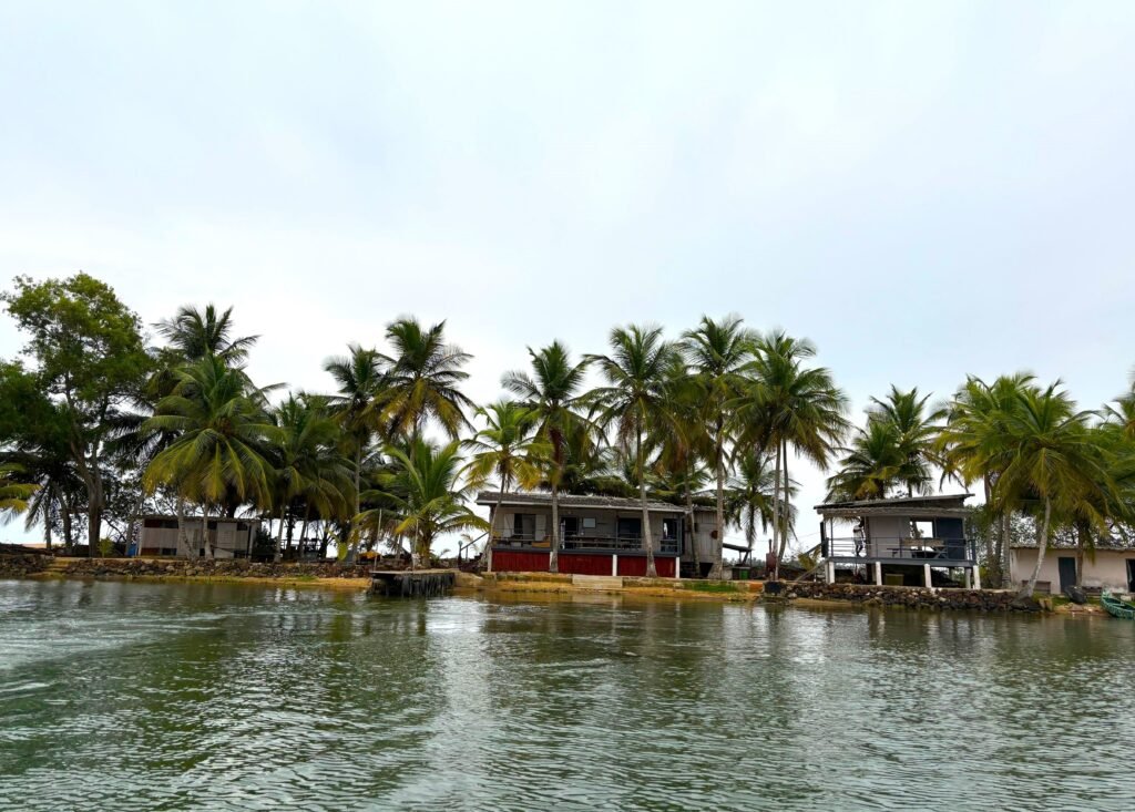 Vue de l’entrée principale de l’île Robinson, entourée de végétation tropicale. L’image évoque le début d’une exploration dans un cadre naturel paisible