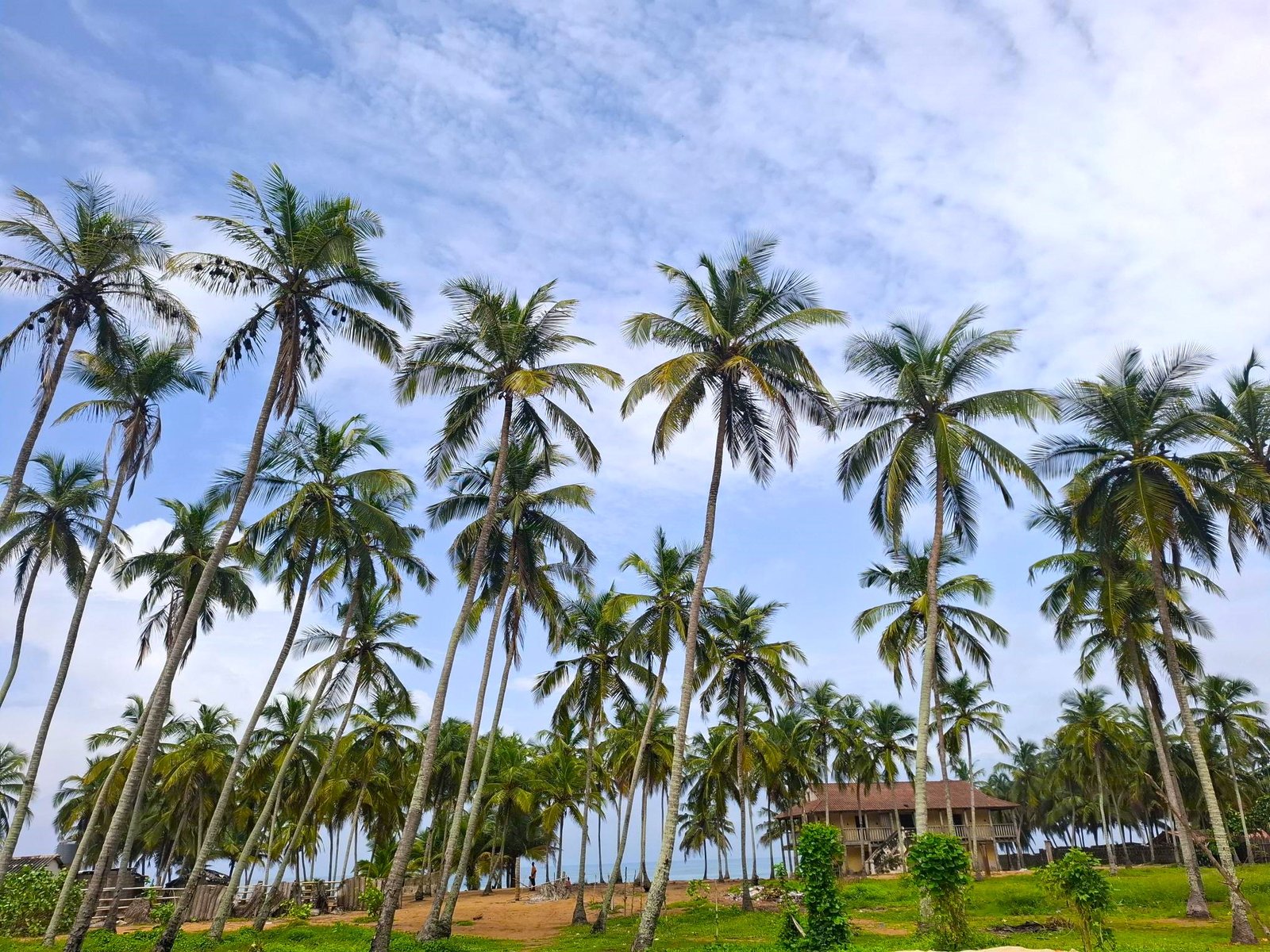 Jacqueville-Guide-Complet-pour-un-Séjour-Inoubliable-en-2025