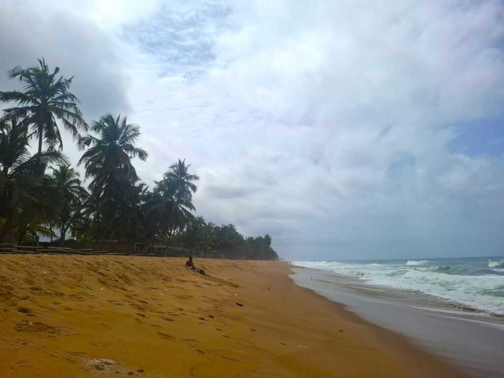 Vue panoramique de la plage de Jacqueville bordée de cocotiers, avec sable fin et mer bleue – destination nature en Côte d’Ivoire