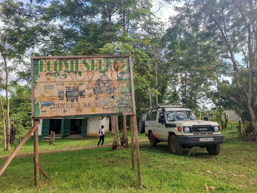 Parc-National-de-Taï-Forêt-primaire-biodiversité-unique-ecomusee