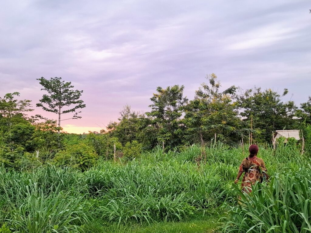 Parc-National-de-Taï-Forêt-primaire-biodiversité-unique-ecotourisme-femme-daobly