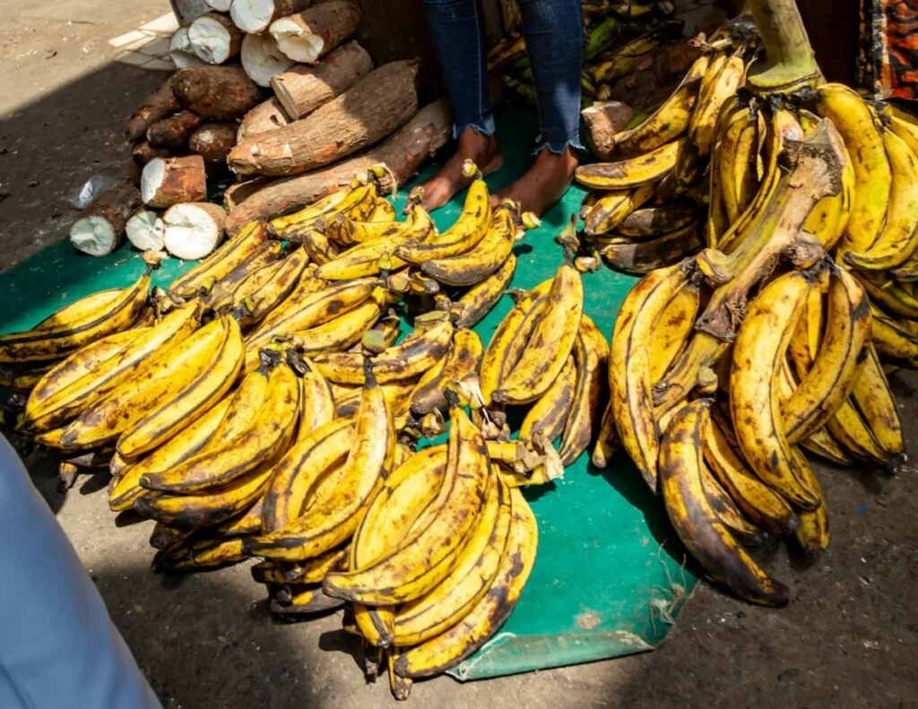 Banane plantain et manioc pour la cuisine traditionnelle de Cote d'Ivoire