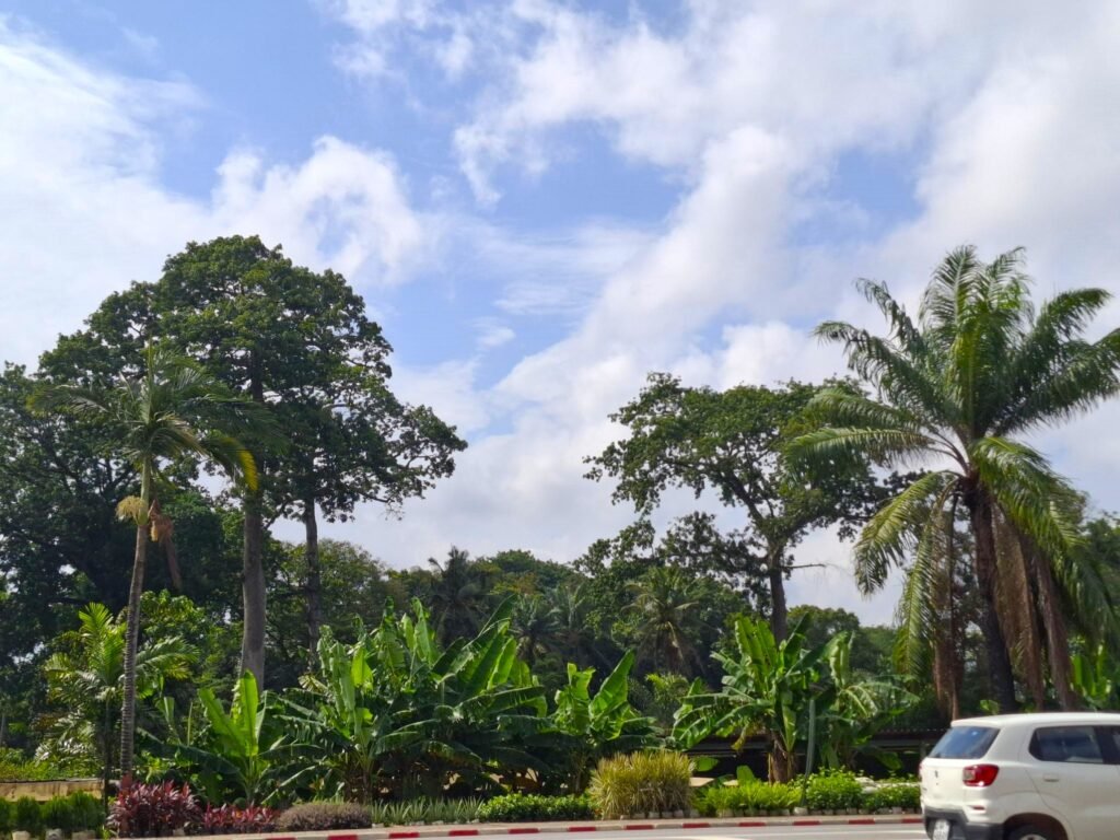 où-habiter-à-Abidjan-boulevard-france