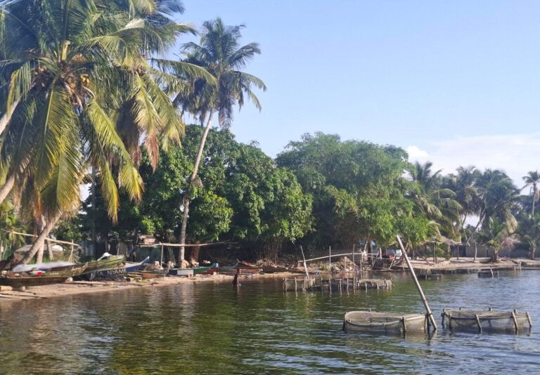 Ivory Coast Safety: Tips and Travel Insights