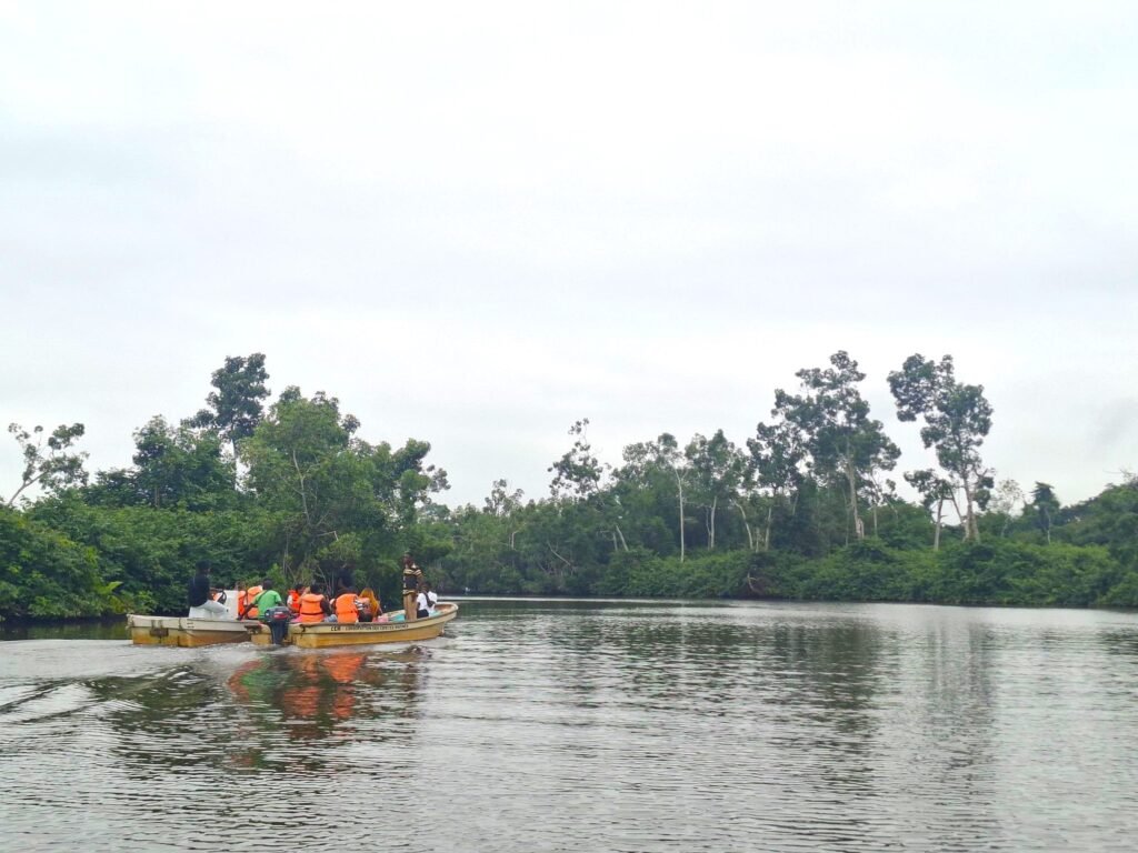 Grand-Béréby-Nature-sauvage-et-plages-balade-bateau-mangroves