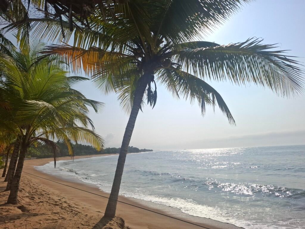 Grand-Béréby-Nature-sauvage-et-plages-secrètes-forets-primaires