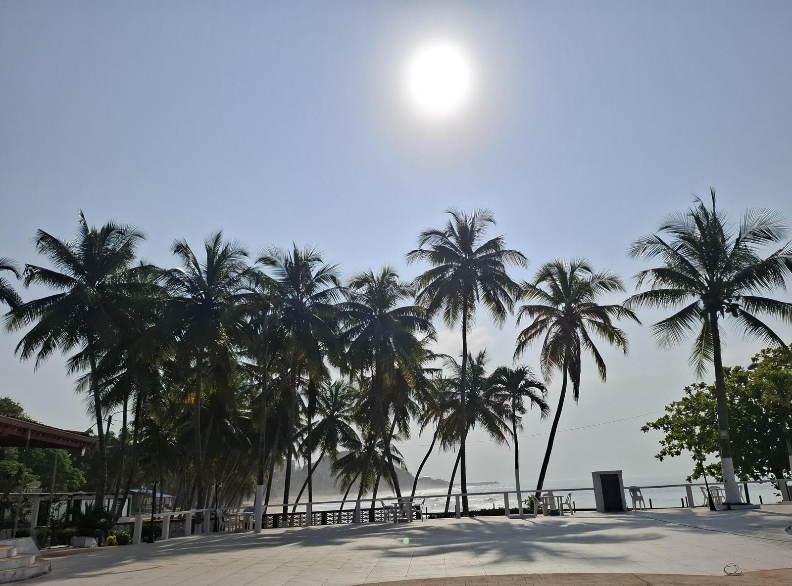 San-Pedro-Le-Guide-Ultime-pour-Tout-Découvrir