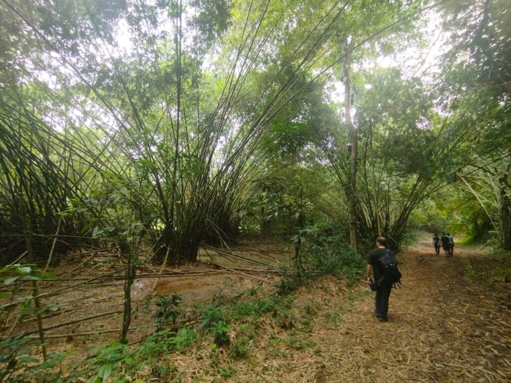 Que-faire- Abidjan- Noël-activités-bons-plans-jardin-bingerville