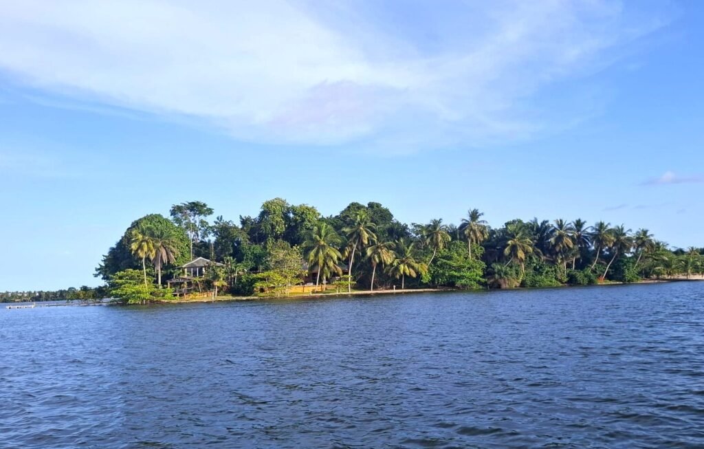 Que-faire- Abidjan- Noël-activités-bons-plans-ile-boulay