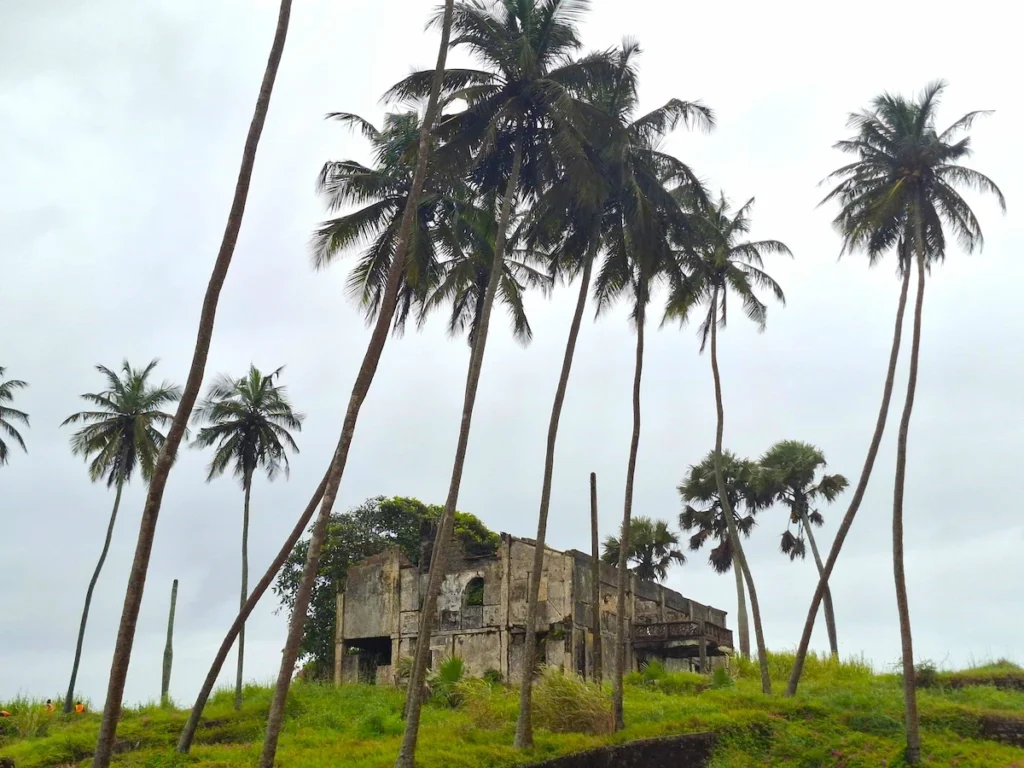 Vue lointaine de la Maison du Gouverneur de Sassandra entourée de palmiers, au bord du littoral.