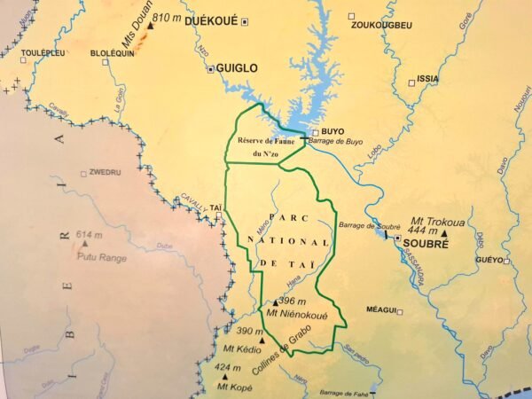 Carte du Parc national de Taï