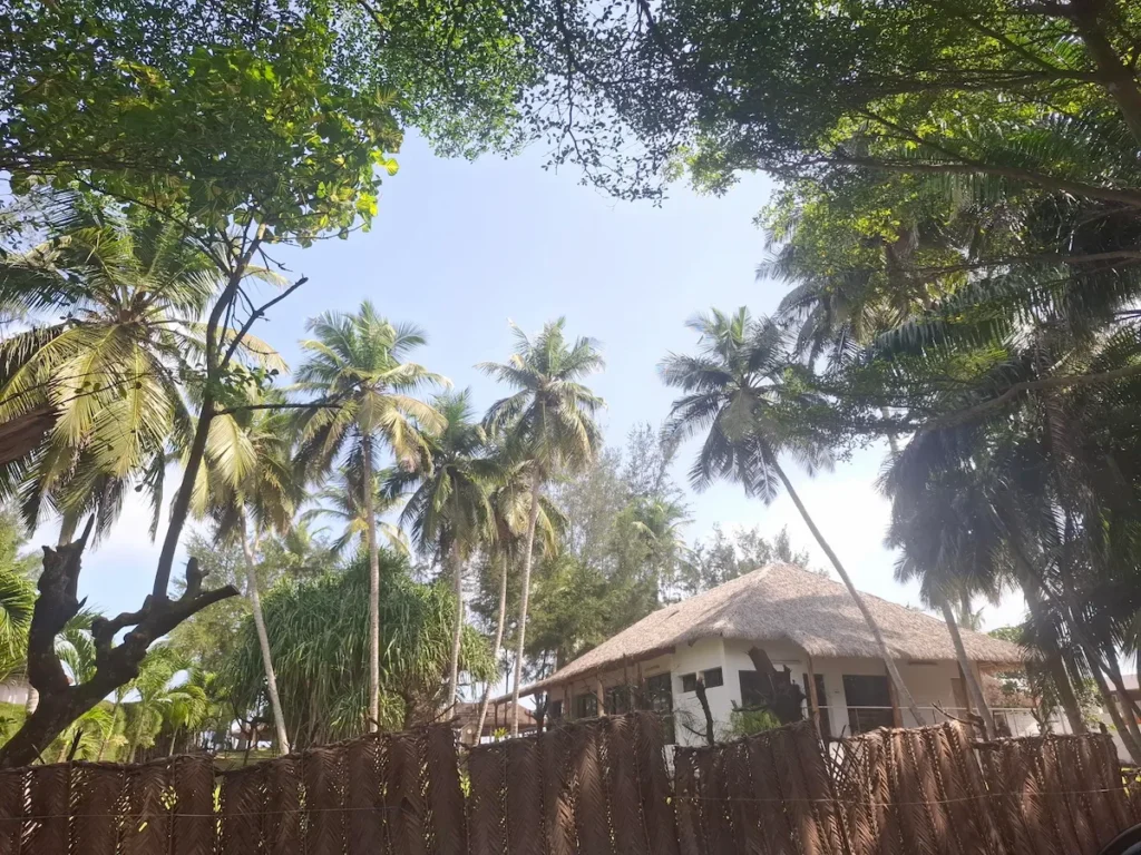 Visiter-Grand-Bassam-Cote-dIvoire-plages-culture-hotel-assoyam Batiment bordée de palmiers a Assoyam Beach