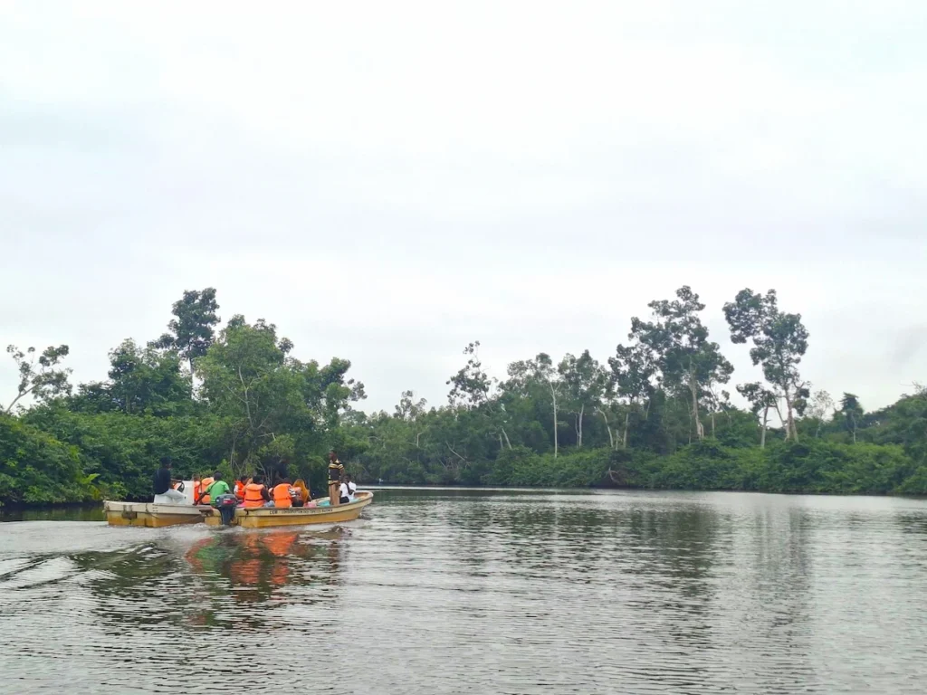 Bateau naviguant dans la mangrove de Grand-Béréby, entouré de végétation tropicale et d’eaux calmes.