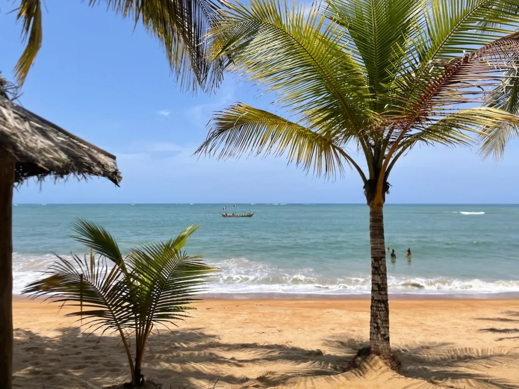 Vue sur la plage et l’océan Atlantique depuis Chez Jojo à Grand-Béréby, avec palmiers et sable doré sous un ciel ensoleillé.