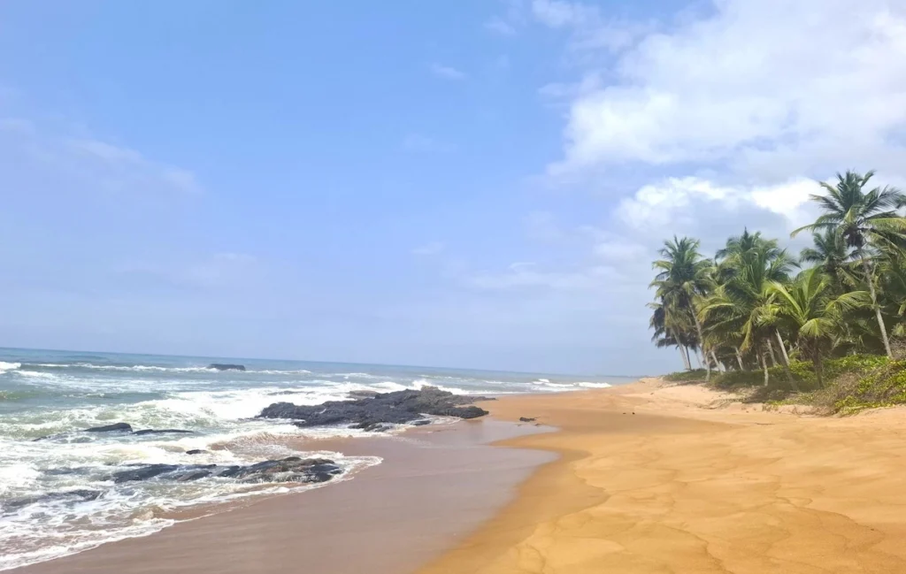 Plage sauvage de Grand‑Béréby en Côte d’Ivoire avec sable doré, palmiers et vagues sur le littoral atlantique.