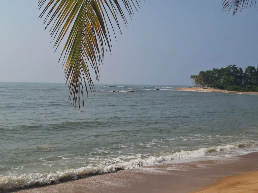 Plage de Grand-Béréby en Côte d’Ivoire, avec sable doré, palmiers et océan Atlantique sous un ciel ensoleillé.