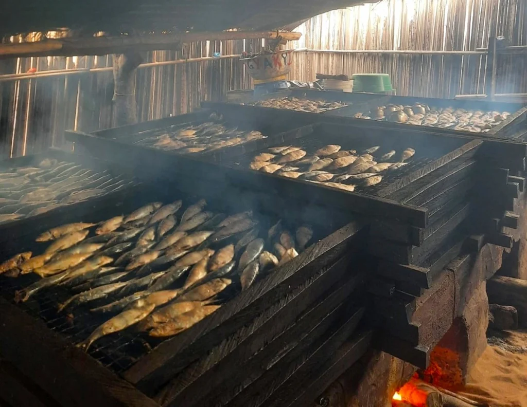 Poissons disposés sur des grilles en train de fumer dans une cabane à Grand-Lahou. 