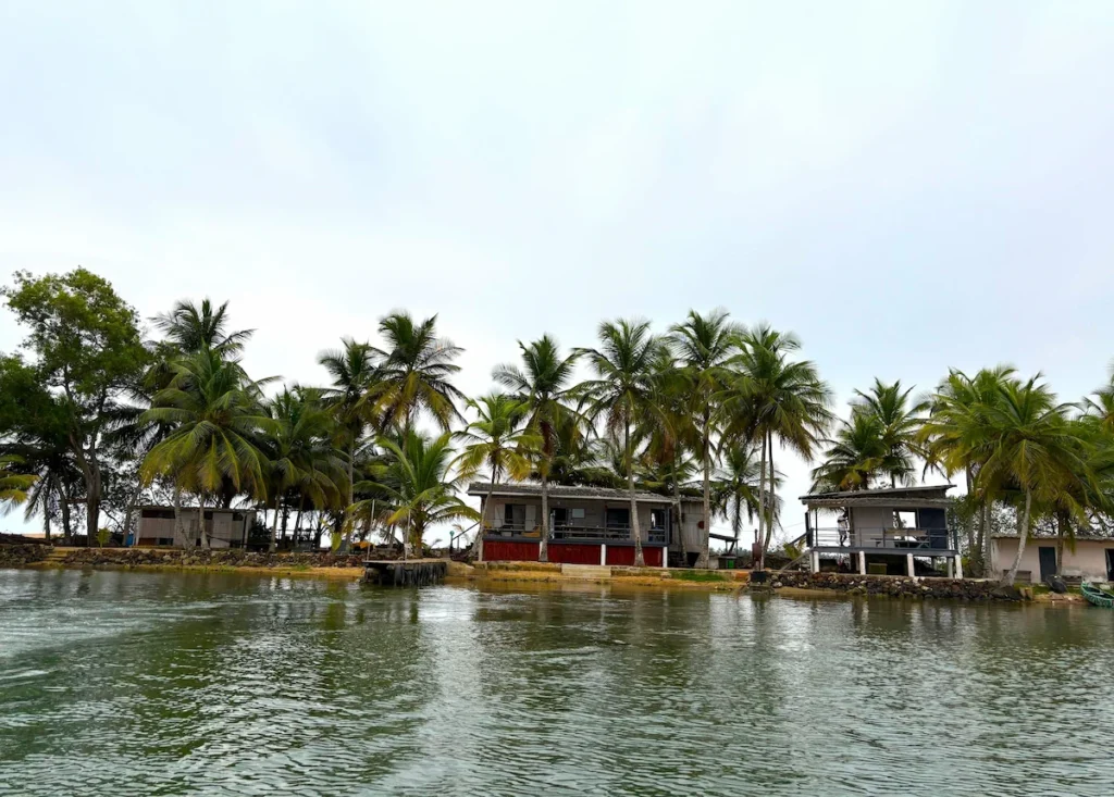 Entrée de l’Île Robinson vue depuis l’eau, avec ponton et palmiers en arrière‑plan. 