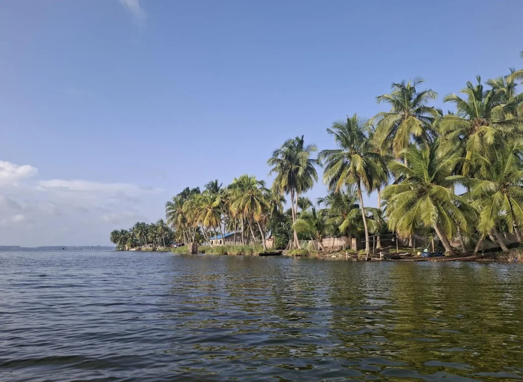 Lagune de Jacqueville bordée de palmiers, avec eau calme et ciel bleu en Côte d’Ivoire.