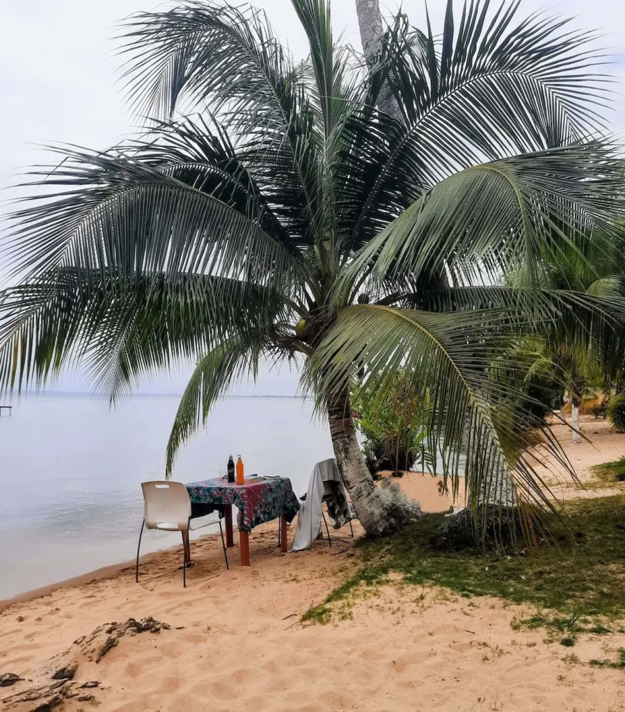 Tables du restaurant Scandinave à Jacqueville installées sous un palmier en bord de plage, avec vue sur la lagune.
