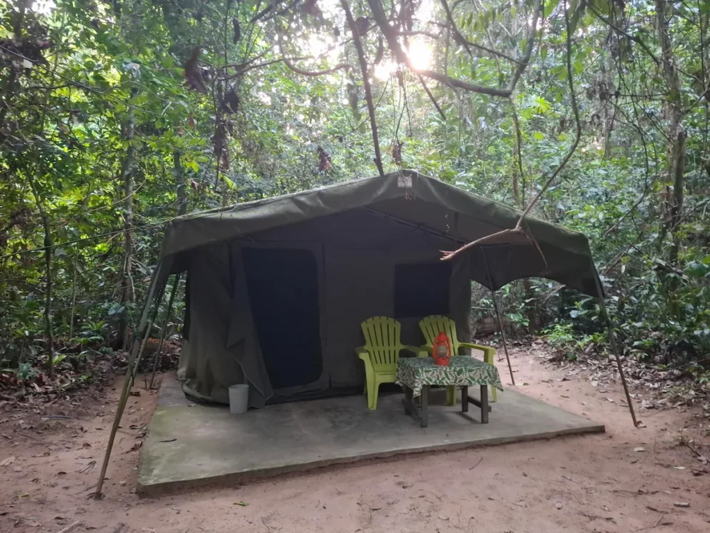 Une tente pour deux personnes dans la forêt du Parc national de Taï