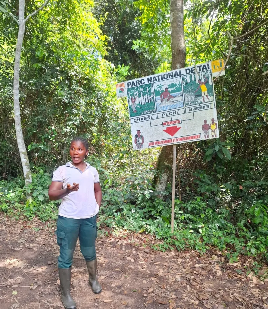 Randonnée guidée par une femme au cœur du Parc national de Taï