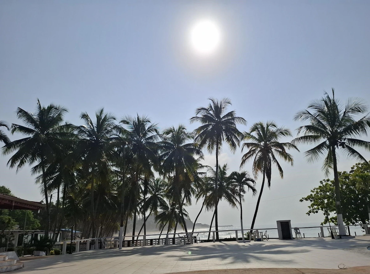 Plage de San‑Pedro en Côte d’Ivoire au lever du soleil, avec rangée de palmiers et ciel clair.