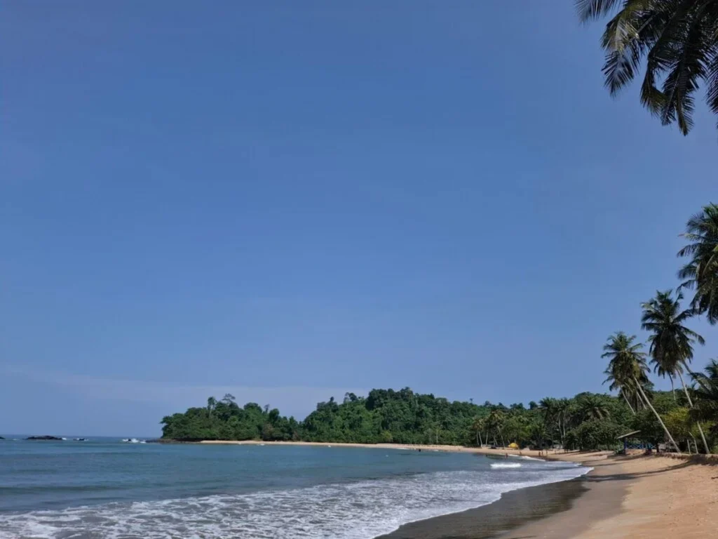 Plage de Monogaga à San Pedro en Côte d’Ivoire, avec mer calme, sable clair et palmiers au premier plan. 