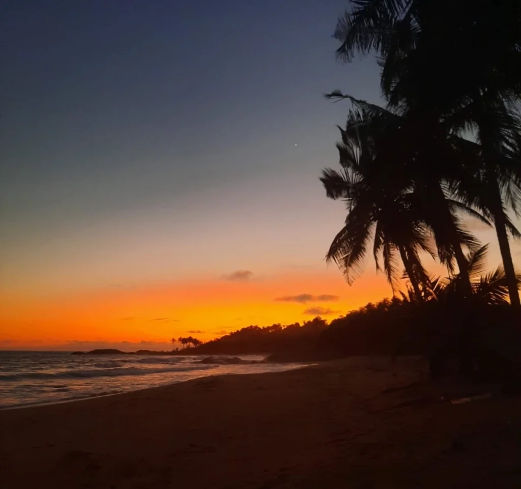 Coucher de soleil sur une plage de Sassandra avec palmiers en silhouette au bord de l’océan Atlantique.