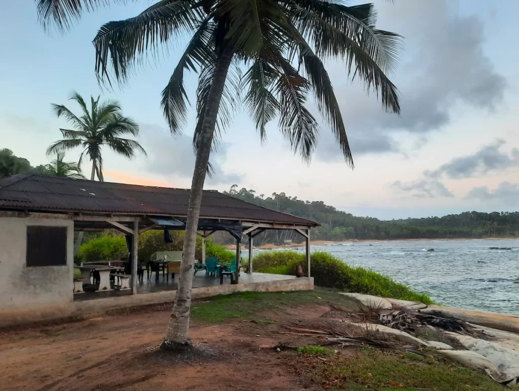 Vue du campement de Pauly Rock à Sassandra, avec palmiers, cabanons en bord de mer et vagues de l’Atlantique.