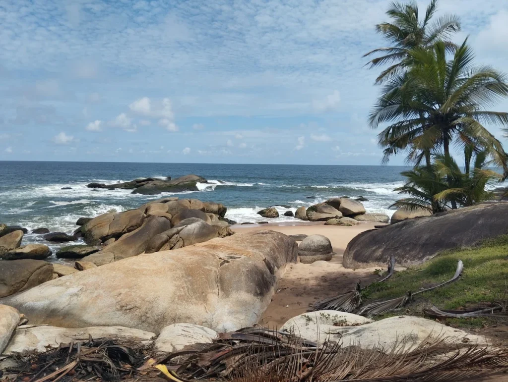 Rochers et palmiers sur la plage de Pauly Rock à Sassandra, avec les vagues de l’Atlantique en arrière‑plan.