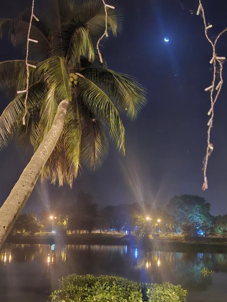 Cocotier sur la lagune avec la lune en fond