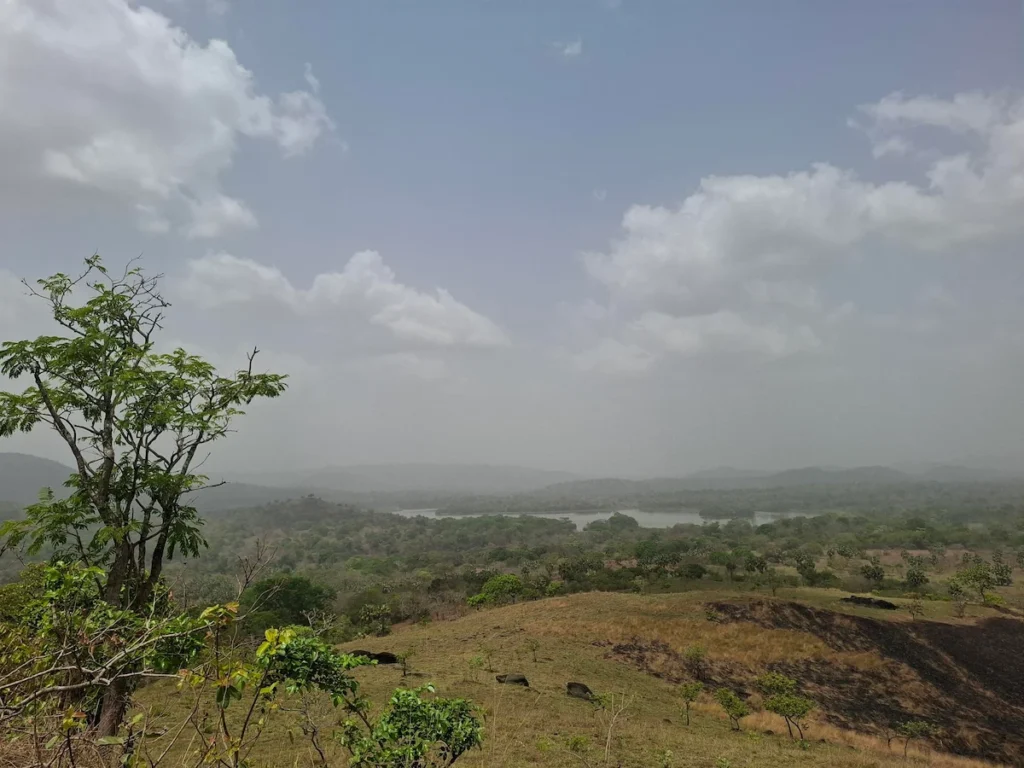 Paysage de savane avec arbres et lac dans la réserve de faune d’Abokouamékro, près de Yamoussoukro