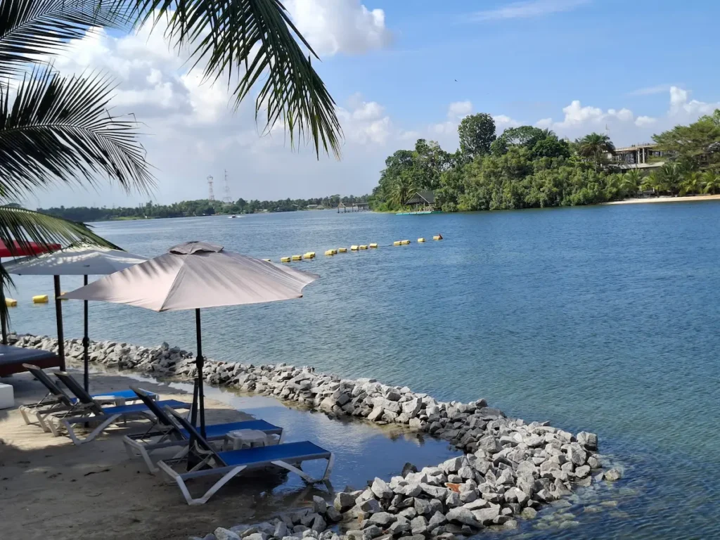 ile-boulay-coconut-grove-lodge Plage calme à Île Boulay avec transats, parasols et lagune entourée de palmiers.