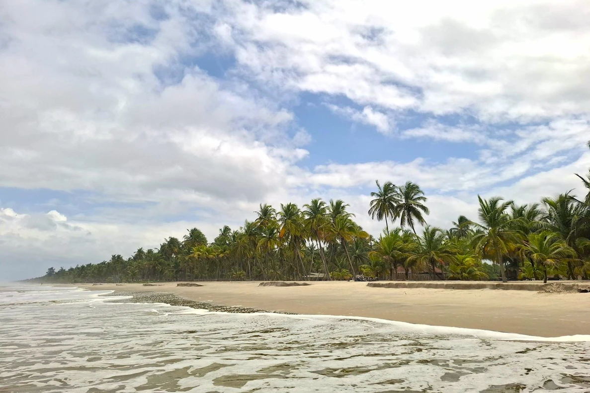 Palm-fringed tropical beach with palm trees, sandy shore, and gentle waves under a partly cloudy sky.